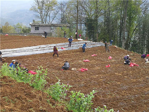 田間地頭指導(dǎo)工作131.jpg